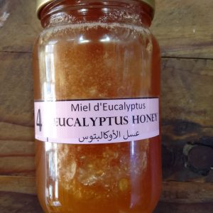 eucalyptuse-honey-500g-(2)