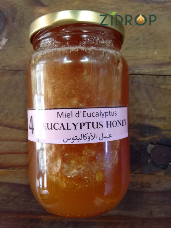 eucalyptuse-honey-500g-(2)